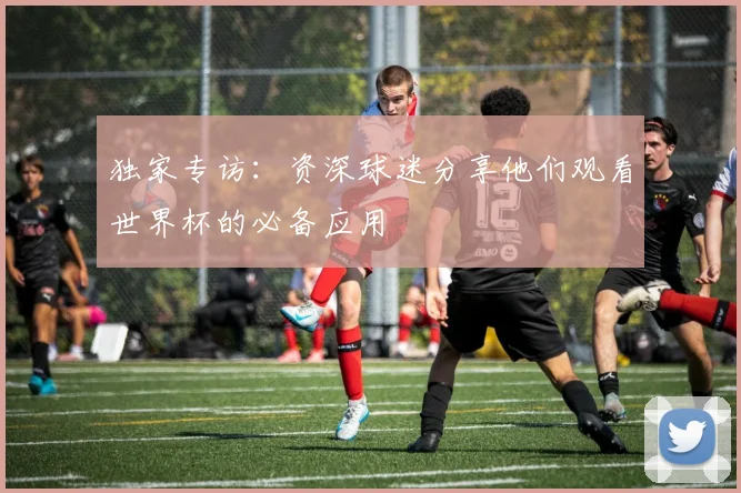 独家专访：资深球迷分享他们观看世界杯的必备应用