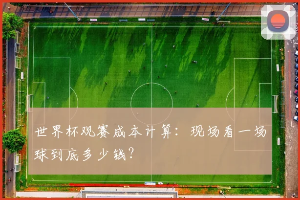 世界杯观赛成本计算：现场看一场球到底多少钱？
