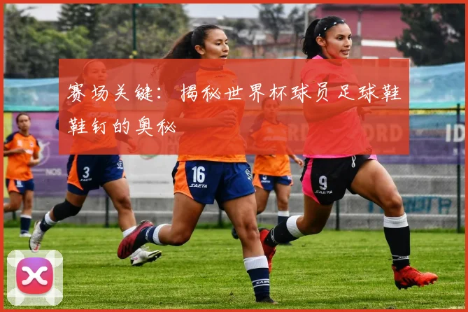 赛场关键：揭秘世界杯球员足球鞋鞋钉的奥秘
