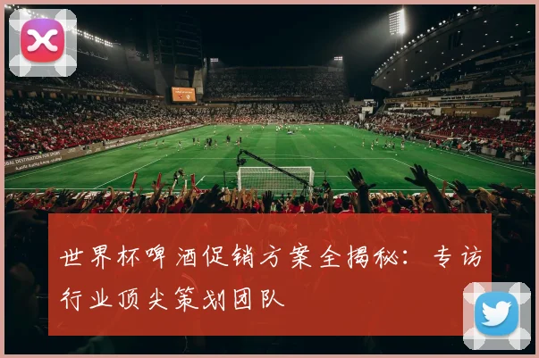 世界杯啤酒促销方案全揭秘:专访行业顶尖策划团队