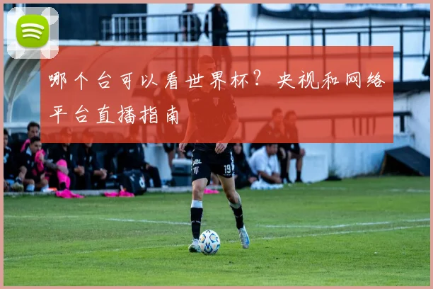 哪个台可以看世界杯？央视和网络平台直播指南